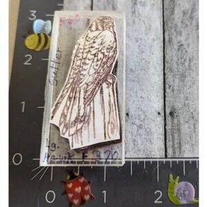Hawk Large Bird on Post Acrylic Mount Rubber Stamp Sutter Detailed #D29